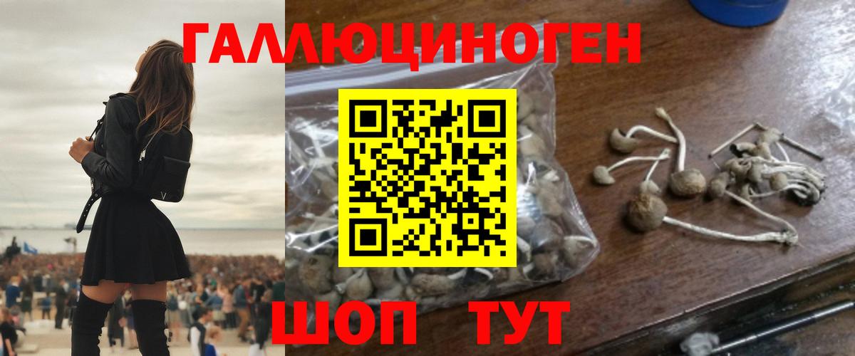 Псилоцибиновые грибы Cubensis Магнитогорск